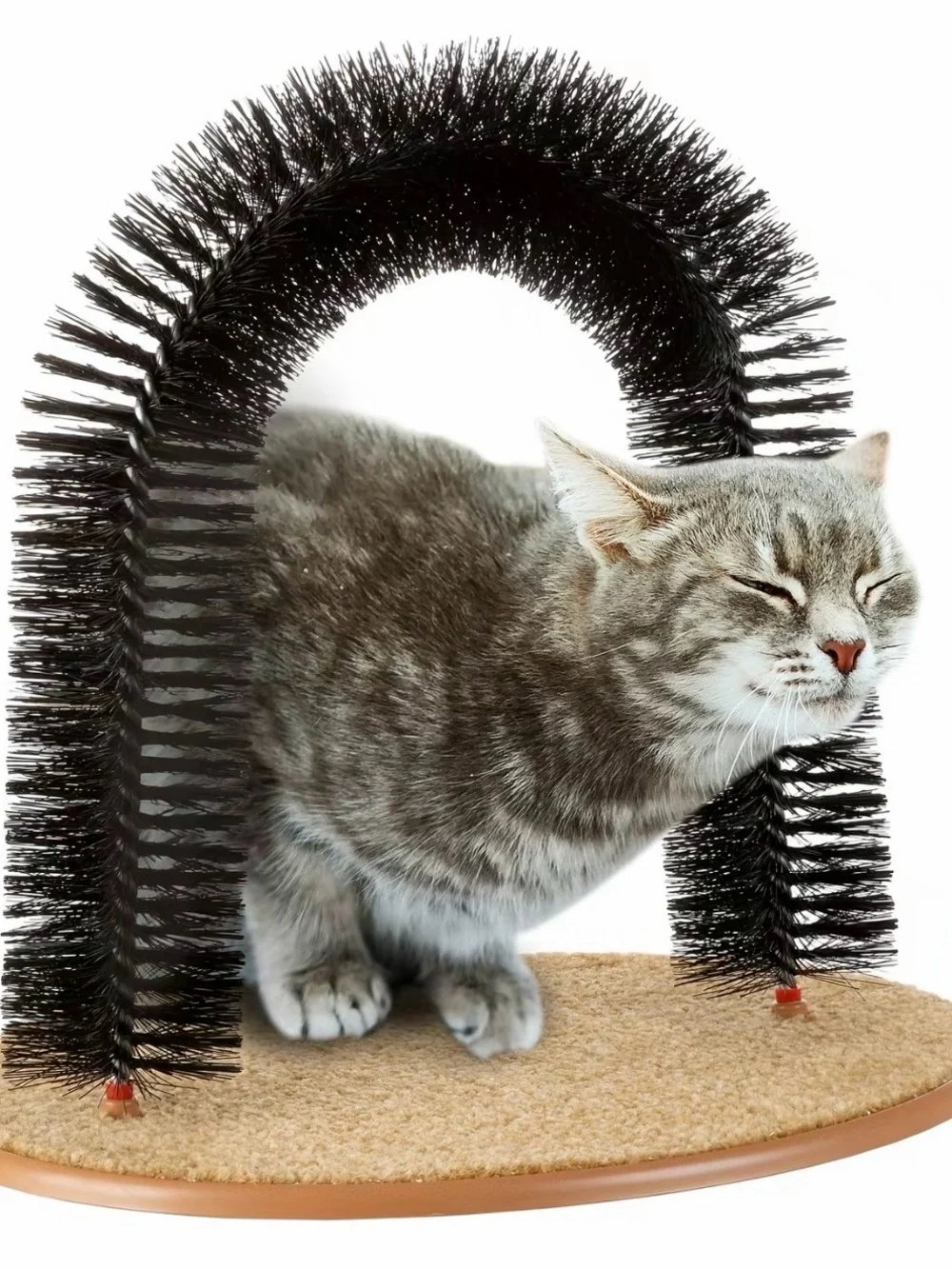 Petmaker Cat SeIf-Grooming Bristle Ring Brush Cat Arch